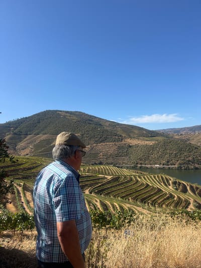 The image presents a panoramic outdoor scene in São João da Pesqueira, Portugal, under a clear blue sky. In the left foreground, an adult male is observed from the back and slightly to his right, facing towards the expansive landscape. He wears a blue and white plaid short-sleeved button-up shirt, black-framed glasses, and a tan, checkered flat cap. His hair is short and gray. The immediate foreground is comprised of dry, golden-brown grasses and some green shrubbery on the far left. The mid-ground and background are dominated by extensive terraced vineyards, meticulously carved into steep hillsides, displaying rows of green grapevines. Further into the distance, a body of water, identified as the Douro River, winds through the valley as a dark blue ribbon. A narrow road and a small white vehicle are visible on the opposite bank of the river. Beyond the river, additional rolling hills and mountains, featuring a mix of green and dry vegetation, extend to the horizon. The scene is illuminated by bright daylight, casting defined shadows.