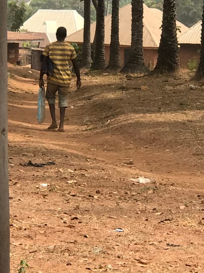 An adult male is observed walking away from the camera on a reddish-brown dirt path in Egboje, Nigeria. He wears a yellow and black horizontally striped short-sleeved shirt, light brown shorts, and sandals. A dark item of clothing is slung over his left shoulder, and he carries a light blue, semi-transparent object in his left hand. The path shows sparse dry vegetation and scattered litter, including small white and dark items. To the right of the path, a line of tall, slender palm trees with dark trunks extends into the background. Behind the trees and in the distance, several single-story buildings with pitched, light-colored roofs (ranging from light brown to off-white) are visible. Some building walls are reddish-brown. A light-colored utility pole or vertical structure is partially visible on the far left edge of the frame. Shadows are cast across the ground, indicating sunlight.