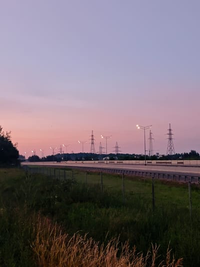 This photograph captures a serene twilight scene along a highway in Selevkino, Russia. The sky transitions from a pale lavender at the top to a soft pink hue near the horizon, with a faint, distant airplane visible. The highway stretches into the distance, flanked by a grassy median and a roadside barrier. Several modern streetlights with multiple bulbs are illuminated along the road. In the background, a line of tall, lattice-like electricity pylons stands against the dusky sky, interspersed with dense green trees and distant structures that suggest a semi-urban or suburban landscape. The foreground features a patch of tall, dry grass in warm, golden tones, contrasting with the lush green grass and foliage bordering the highway, demarcated by a wire fence. The overall atmosphere is calm and tranquil, indicative of dusk or early dawn.