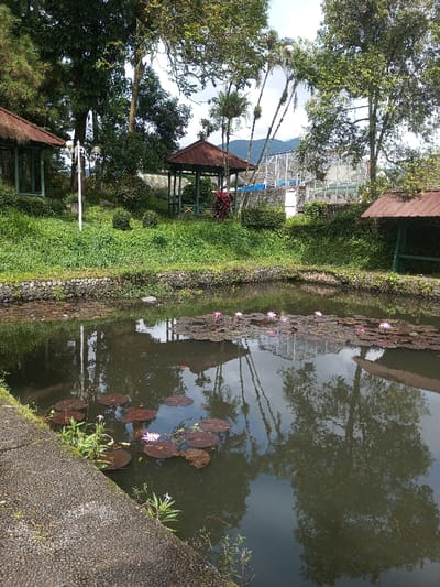 A serene pond with lily pads and pink lotus flowers reflects the surrounding scene. Gazebos with red roofs stand on the grassy banks amidst lush greenery and trees. Reflected in the water are the sky and the trees, creating a mirror-like effect. A stone wall edges the pond, with plants growing along its border.