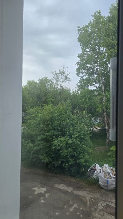 A view from a window shows a grey, overcast sky above a densely wooded area. The trees are predominantly green and lush, with a few taller, thinner trees interspersed. A narrow, paved road runs along the bottom of the frame, with patches of dirt and debris. To the right of the road, near the edge of the trees, are two large white bags filled with construction debris and trash. A white wall is visible on the left side of the frame, and the edge of a window frame is on the right. The scene appears to be an outdoor area in Ukhta, Russia.