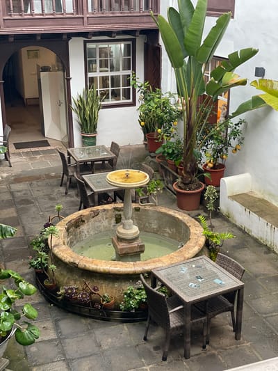 An overhead, slightly angled shot captures a tranquil outdoor courtyard in San Cristóbal De La Laguna, Spain, characterized by white stucco walls, dark wooden architectural elements, and a variety of potted plants.
At the center of the scene is a circular stone fountain with murky water, featuring a lighter-colored central pedestal supporting a yellow, dish-like top. Around the fountain, the ground is paved with dark grey square stones, appearing damp, possibly from recent rain or watering. Several potted plants, including succulents and other foliage, are arranged at the base of the fountain.
To the left of the fountain, a large Strelitzia plant with prominent banana-like leaves dominates the foreground, planted in a brown pot. Beside it are several potted lemon trees, bearing bright yellow fruit. Further along the left wall, a snake plant is visible in a pot mounted below a white-paned window with dark brown framing. Through this window and another adjacent opening, an interior space with a reflection of a light-colored cat or small animal can be seen peering out.
Various outdoor furniture pieces, made of dark brown woven synthetic rattan, are scattered around the courtyard. Two tables are prominently featured; one directly to the right of the fountain has small, indecipherable cards or coasters on its glass top. Matching chairs are placed around these tables, some stacked.
The overall atmosphere suggests a peaceful, inviting outdoor space, typical of a patio or a small square, with no discernible human activity occurring. The lighting appears soft and indirect, indicating an overcast day or shaded area, with no harsh shadows. No legible text is visible in the image.