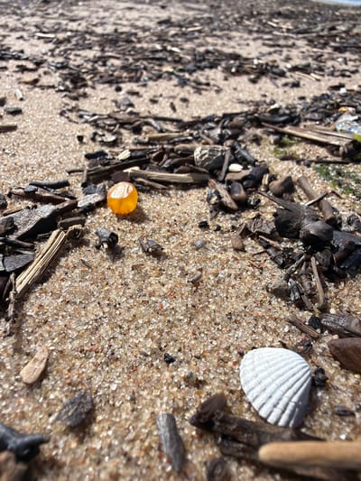 The image shows a close-up view of a sandy beach in Bātciems, Latvia, littered with driftwood, shells, and other debris. A small, translucent orange object, possibly amber, is visible in the center of the frame, surrounded by sand and small pieces of wood. A white seashell with distinct ridges lies to the right, also amidst the detritus. The background is blurred, suggesting a shallow depth of field, and consists of more sand and scattered natural materials, indicating a natural coastal environment. There are no people or animals depicted in the scene, and no discernible actions or interactions are taking place. The lighting suggests it is daytime, with sunlight casting shadows and highlighting the textures of the sand and objects.