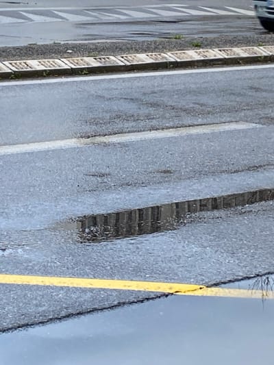 This image depicts a wet asphalt road surface under overcast conditions in Avignon, France. The foreground features a prominent yellow solid line running horizontally, partially submerged in a large puddle reflecting an indistinct light grey sky and bare tree branches from the lower right. Immediately above this puddle, a segment of a white solid line is visible on the wet asphalt. Further back, a raised curb composed of several light-grey, rectangular concrete storm drain blocks with patterned grates extends horizontally. Small patches of green vegetation are visible along the base of the curb. In the upper background, further sections of the wet asphalt show additional faded white road markings, possibly chevron or parallel lines. A partial view of a light-colored vehicle's front bumper is visible on the far right edge, positioned behind the curb. The reflection of the grated storm drain blocks in the puddle creates a vertical, elongated illusion of the curb extending downwards into the water. No individuals are present.