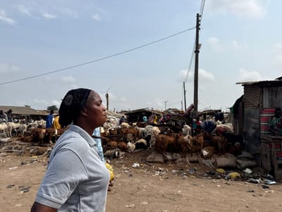 This image depicts an outdoor market scene in Ogere, Nigeria, under an overcast sky. In the foreground, on the left, a middle-aged woman is seen in profile, facing right. She wears a light grey collared short-sleeved shirt and a dark headscarf with light circular patterns. Her expression is neutral.
The midground and background feature a busy livestock market. Numerous goats, predominantly brown, tan, and white, are clustered on elevated, uneven mounds of dirt and debris across the scene. Several individuals are visible among the animals and market structures. To the left, a person in a blue shirt and another in a yellow shirt are discernible. Towards the far right, another person in a striped garment is seated next to a structure made of corrugated metal sheets.
Various makeshift market stalls and simple structures with sheet metal roofs are visible in the background. A tall utility pole with multiple power lines extends vertically through the mid-right portion of the frame, with additional poles further in the distance. The ground is unpaved, consisting of dirt and showing scattered refuse, including plastic bags and other debris, particularly prominent in the mid-right.