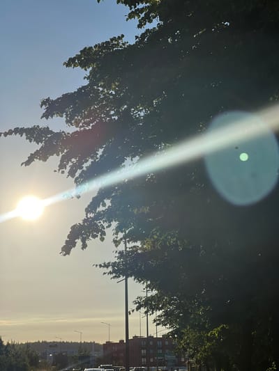 The image shows a bright sunny sky with some tree branches in the foreground. The sun is shining intensely, causing lens flare and obscuring some details. The branches of a tree with green leaves hang from the top of the frame. In the background, a blurred urban scene with buildings and streetlights can be seen. The time of day appears to be late afternoon or early evening due to the low angle of the sun and the hazy quality of the light. The weather is clear and sunny, typical of a summer day. The location is Pruszcz Gdański, Poland. There is no visible text in the image.