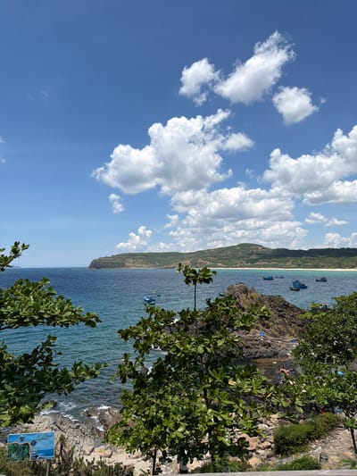 The image depicts a picturesque coastal scene in Phú Lương, Vietnam, under a bright, partly cloudy blue sky. In the foreground, lush green trees with broad leaves frame the view. Beyond the trees lies a rocky shoreline and the calm, blue sea. Several small, blue fishing boats are dotted across the water, some closer to the shore and others further out. In the mid-ground, a sandy beach stretches along the coast, backed by rolling hills covered in dense green vegetation. The distant landscape is characterized by these verdant hills under the expansive sky. A few people are visible near the rocky areas along the shore.