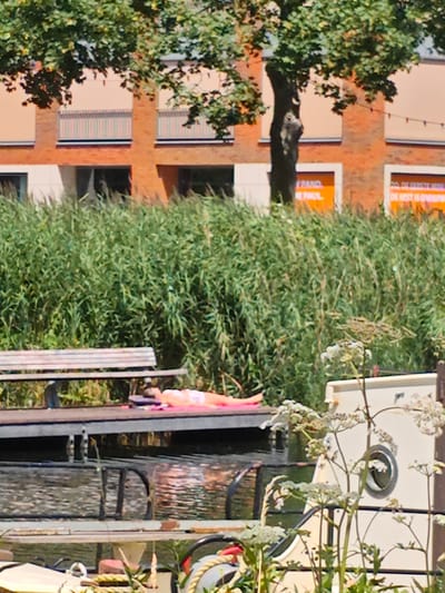 A person in an orange swimsuit lies on a wooden dock next to a bench. The dock is in front of a body of water with ripples and reflections. Behind the dock is a dense wall of green reeds, and beyond that, a brick building with orange panels. Trees with green foliage are visible in the upper part of the image. The scene appears to be outdoors, possibly in a park or recreational area. The image is taken from a slight distance, and some details are not perfectly clear due to the resolution and lighting.