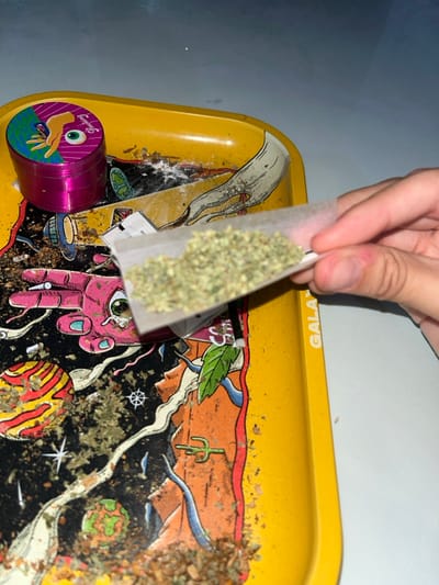 A close-up, top-down forensic image depicts a scene on a light-colored surface in Dique Luján, Argentina. The primary object is a yellow metal rolling tray, approximately 30 cm in length, with a psychedelic space-themed graphic design featuring hands, eyes, planets, and abstract patterns. The brand name "GALAXY" is visible vertically along the right edge. The tray's surface is soiled with remnants of finely ground green plant material, coarser brownish plant fragments, and a small quantity of white powdery residue.
In the upper-left quadrant of the tray rests a metallic pink, multi-piece cylindrical grinder, approximately 5 cm in diameter, with a lid displaying a hand and eye graphic and the text "Factory."
A human right hand, with slightly reddened skin around the knuckles and cuticles, occupies the right side of the frame. The hand is holding a piece of white rolling paper, which contains a mound of finely ground green plant material. The paper is partially folded, indicating an ongoing process of preparation. No other individuals or significant actions are visible.