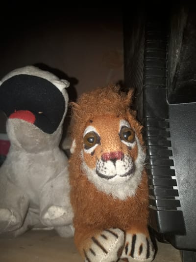 The image displays two stuffed animals, a lion and a white creature with a black open mouth revealing a red interior, positioned on a flat surface. The lion, with its characteristic mane and striped paws, is in the foreground and appears to be a brighter subject. To its left, partially obscured, is the white stuffed animal, its head tilted back with its mouth wide open. A dark, textured object, possibly electronic equipment with ribbed detailing, is situated to the right of the lion, casting a shadow. The lighting is dim, creating deep shadows and highlighting the textures of the stuffed toys and the object. The scene is indoors, with a nondescript background suggesting a domestic or storage environment. The location within the city of Zilupe, Latvia, cannot be determined from the visual information provided in the image.