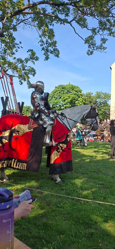 A knight in full, polished armor rides a white horse adorned with a red and gold caparison featuring black dragon motifs. The horse is also equipped with protective gear for its head. Several lances stand upright behind the knight. The scene appears to be outdoors in a grassy area, with a large tree providing shade overhead and other trees and a stone structure in the background. A crowd of people, some dressed in period costumes, are gathered in the middle ground, suggesting a historical reenactment or festival. In the foreground, a person's hands are visible holding a purple water bottle and a device, possibly a phone or camera, with a lanyard around it. The image captures a moment from what is likely an event such as the Medieval Market (Keskiaikaiset markkinat) in Turku, Finland, given the historical theme and the presence of a knight on horseback.