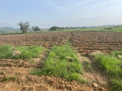 The image depicts a rural landscape in Buga da Gindi, Nigeria. The foreground is dominated by a freshly plowed field of brown soil, with visible furrows suggesting recent agricultural activity. Patches of green grass are interspersed throughout the field, particularly along the edges and in a central pathway. In the background, rolling hills are visible under a hazy sky, with a scattering of trees and a few small structures that hint at a nearby settlement. The overall impression is one of an undeveloped agricultural area.