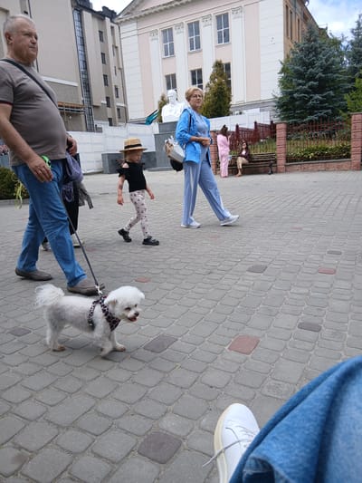 The image shows a paved outdoor area, likely a pedestrian walkway, in Truskavets, Ukraine. A man in a grey t-shirt and blue jeans walks a small white dog on a leash. The dog is wearing a leopard-print harness. Behind the man, a young girl in a straw hat and black top walks with her legs slightly bent. Further back, a woman in a blue jacket and light blue pants walks from right to left. To the right, a woman in pink is standing, and another woman is sitting on a bench. The background includes a building with a pale pink facade and a dark green evergreen tree. The ground is paved with interlocking grey and some reddish square stones.