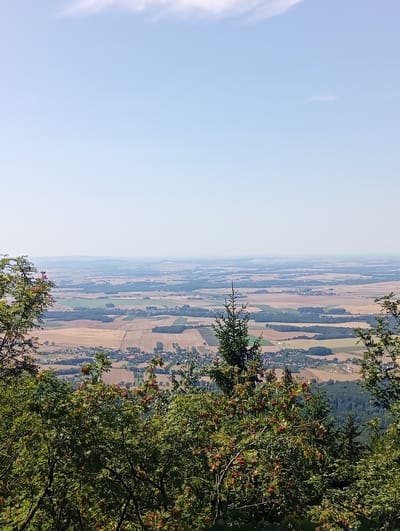 The image is a landscape photograph taken from a high vantage point, likely from Mount Ślęża in Sobótka, Poland, looking out over a vast, patchwork agricultural valley under a clear, light blue sky. In the foreground, the tops of green trees with clusters of red berries are visible, framing the view. A small evergreen tree stands prominently in the mid-foreground. The middle ground is dominated by the expansive valley floor, divided into fields of varying colors, suggesting different crops or stages of harvest, interspersed with darker green patches of trees and a small village with red-roofed buildings. In the distance, the landscape fades into a hazy horizon of rolling hills. The overall impression is one of a serene, rural panorama on a sunny day.