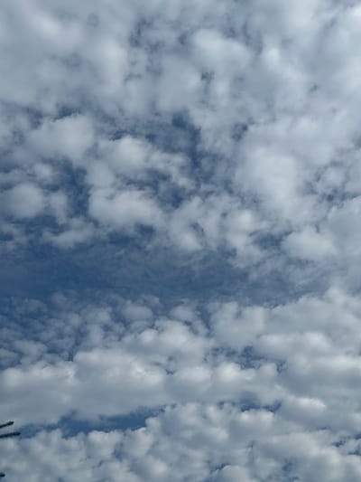 The image displays a sky filled with scattered white cumulus clouds against a backdrop of blue sky. The clouds vary in size and density, with some appearing more wispy and others more defined and puffy. The overall impression is of a partly cloudy day. There are no discernible people, subjects, actions, or interactions visible in the image. The environment is solely the sky. No specific location in the city of Zvenyhorodka, Ukraine can be identified from the image.
