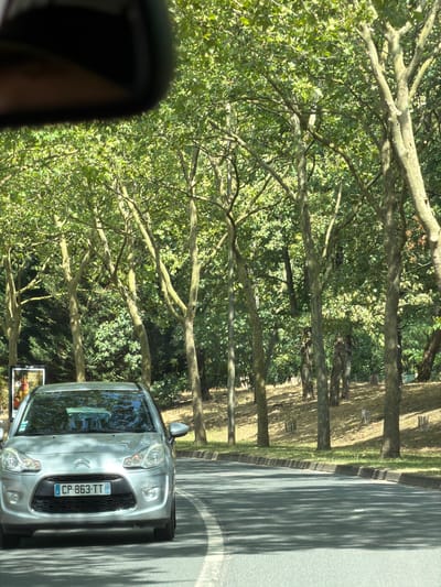 This is a medium shot, taken from the perspective of a passenger in a car, looking out the side window. The scene is a sun-dappled tree-lined road, suggesting a warm, bright day. The trees, with their distinctive mottled bark, create a canopy of green leaves, and their branches cast long shadows on the road and the grassy verge. In the foreground, the side mirror of the car is visible.
The main object in focus is a silver car with its front facing towards the viewer, parked or moving slowly on the right side of the road. The car has its headlights on and a license plate that reads "CP-863-TT". To the left of the car, a partially visible sign is present, with text that appears to be in French. The overall impression is one of a scenic drive on a pleasant day, possibly in a rural or suburban area given the abundance of trees. The lighting and shadows suggest it is daytime, likely late morning or early afternoon. No people are clearly visible in the frame. The setting is Évry-Courcouronnes, France.