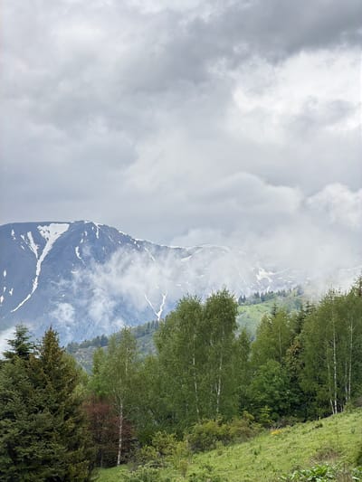 The image depicts a mountainous landscape, possibly near Rila Monastery, Bulgaria, although the monastery itself is not visible. A tall, dark, snow-capped mountain peak dominates the scene, partially obscured by low-lying clouds and mist. The mountain's flanks show streaks of white, suggesting snow cover or glaciers. In the foreground, a verdant hillside is lined with trees, particularly birch trees with light-colored trunks, interspersed with other types of greenery and grass. The sky is overcast with dense gray clouds, further suggesting a high-altitude environment with variable weather conditions. There are no visible people or interactions.