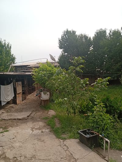 The image depicts an outdoor scene in a rural or semi-rural setting, likely in Khalkabad, Uzbekistan. The foreground is dominated by a cracked concrete path. To the left, there is a rustic structure with a corrugated metal roof, under which a white cloth is hanging. This structure appears to be a shed or animal enclosure. Behind this, a larger, older building with a similar roof is visible, featuring weathered wood and windows.
To the right of the path, there is a lush green area with dense foliage and trees. A small, old-fashioned white sink is mounted on a wooden support, positioned near the overgrown vegetation. In the mid-ground, a black water basin with a faucet and pipe system is visible, suggesting an outdoor water source. The basin is partially filled with water.
In the background, tall trees form a dense canopy, obscuring the sky in some areas. A satellite dish is mounted on the roof of the main building. The overall impression is one of a humble, lived-in space, possibly a backyard or a farmstead. The lighting suggests it is daytime, with overcast or hazy conditions, as there are no strong shadows. The scene appears peaceful and still, with no people or animals immediately visible. The textures are predominantly rough and natural – concrete, wood, metal, and abundant greenery.