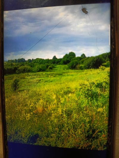 The image shows a landscape scene with a field in the foreground and trees in the background. The sky is partly cloudy, with a dark cloud on the left and lighter clouds on the right. A thin, dark line, possibly a wire, stretches diagonally across the sky. There are also several scratches on the surface of the screen. The field is covered in green grass with some yellowing or dried patches. A small, dark shrub is visible in the middle left of the field. The trees in the background are dense and green. The scene does not provide any specific information that would allow for a precise location within the city of Svoboda, Russia, or any specific details about people, objects, actions, or interactions.