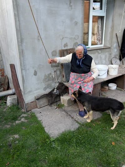 An elderly woman wearing a headscarf and a patterned apron plays with a cat using a string attached to a stick outside a concrete building in Vertelka, Ukraine. A German Shepherd-type dog stands nearby, observing the interaction. The environment consists of a concrete patio with grass patches, a wooden bench with buckets and various objects, and a weathered building with a window.