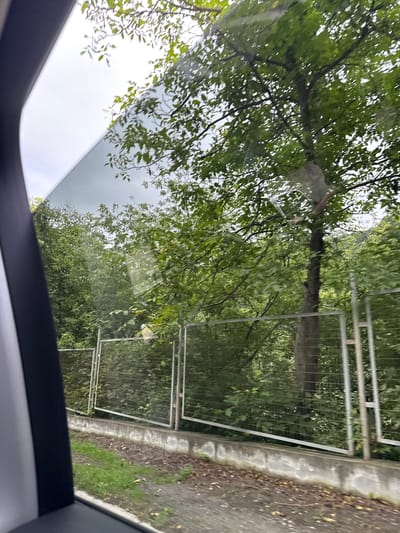 The image shows a view from inside a vehicle, looking out through a window at a roadside scene. On the right side of the image, there is a metal fence with a chain-link pattern, supported by vertical posts. Behind the fence, lush green trees and foliage are visible. The ground in front of the fence is a mixture of concrete, dirt, and patches of grass. A tree trunk is prominent in the middle ground, with its branches and leaves extending upwards and across the scene. The sky is overcast, with a greyish-white hue. The overall impression is that of a rural or suburban environment, likely a street or road bordering a wooded area. The image appears to be taken in Vahagnadzor, Armenia, given the context provided.
