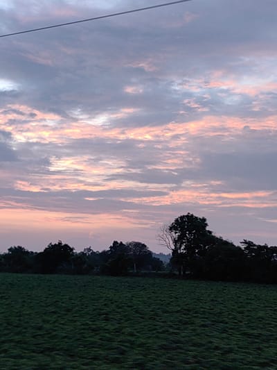 The image depicts a rural landscape at dusk, likely in or around Padli, India. The sky is filled with a gradient of soft, muted colors, transitioning from a pale pink and orange near the horizon to shades of lavender and gray higher up. Wispy clouds are scattered across the sky, catching the last light of the day. In the foreground, a dark, textured field of grass stretches across the lower portion of the frame. A line of silhouetted trees and foliage forms a dark band along the middle ground, separating the field from the sky. A single, leafless tree with gnarled branches stands out among the darker foliage on the right side of the image. The overall impression is one of natural beauty and tranquility as daylight fades.