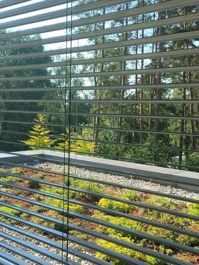 The image is a Dutch angle shot of a building's exterior, likely a modern structure with a green roof and reflective glass facade. The scene is captured from a low perspective, looking upwards and diagonally.

The primary subjects are the architectural elements of the building and the natural landscape reflected in its glass. The left side of the image shows a reflection of a forest with tall pine trees and a bright blue sky. The reflection is fragmented by horizontal slats that are part of the building's design, possibly a louver system or a support structure for a canopy.

The right side of the image reveals the building's green roof, which is a vertical garden or a sloped landscaping feature. It is planted with a variety of green and yellow foliage, interspersed with small, light-colored stones, suggesting a well-maintained, contemporary landscaping approach.

There are no people or visible text in the image. The lighting suggests it is daytime, with the sun casting reflections on the glass and illuminating the greenery. The overall impression is one of a harmonious blend of modern architecture and nature. The location context of Písek, Czechia, places this scene in a European setting.