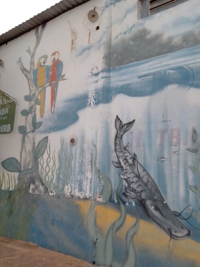 The image depicts a mural painted on the exterior wall of a building, likely in an urban setting in Cuiabá, Brazil, given the style and subject matter. The mural features a natural scene with vibrant colors. In the upper left, two parrots are perched on a tree branch. One parrot is yellow and blue, and the other is red and blue. The tree has green leaves and a grey trunk. Below the parrots, there are stylized representations of aquatic plants, painted in various shades of green and blue. In the lower right portion of the mural, a large, grey fish with dark stripes is depicted swimming in blue water. The fish has prominent whiskers and a dark eye. In the background, there are blurry images of clouds and possibly the suggestion of text on the wall, though it is illegible. The wall itself shows signs of wear and tear, with cracks and fading paint. A corrugated metal roof is visible along the top edge of the image, and a palm frond hangs in from the left side. The overall scene suggests a tropical or subtropical environment.