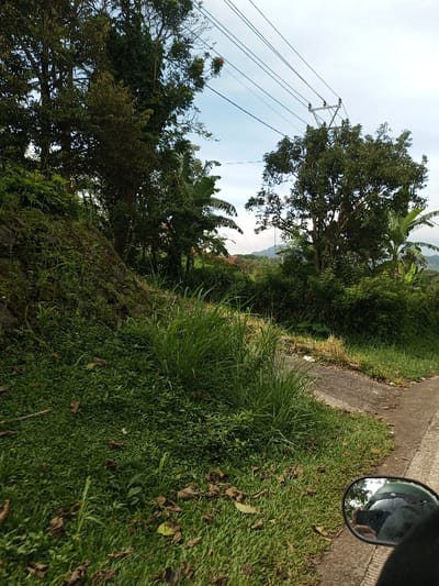 The image depicts a verdant, semi-rural roadside scene in Kandenuwara, Sri Lanka, captured from the perspective of a vehicle. In the immediate foreground, the dark body of a vehicle, possibly a motorcycle, is visible on the bottom right, with its side mirror reflecting a person wearing a dark helmet and holding a device to photograph the scene. A paved road, light grey with minor discolouration, runs along the right edge, transitioning into a grassy verge. To the left, a steep, moss-covered rock face or embankment rises, densely covered in various types of green vegetation, including tall grasses and smaller plants. Further into the midground, beyond the grassy verge, a small, textured concrete path or drainage area is visible, leading into dense tropical foliage featuring large-leaved plants resembling banana trees and various broadleaf trees. In the background, under a partly cloudy sky, a utility pole with multiple overhead power lines extends across the frame. Distant hills or mountains are visible through gaps in the dense tree line, and faint red-roofed structures are discernible among the greenery. The overall environment is lush and tropical.