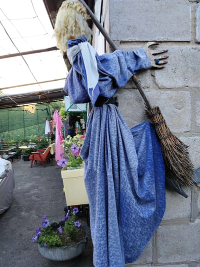A scarecrow, fashioned to resemble a witch, is mounted on a rough-hewn stone wall. It has a blonde, curly wig, and wears a flowing blue dress adorned with a subtle pattern and a white scarf tied around its neck. The scarecrow's left arm, made of wood and painted to look like aged skin with red accents on the fingertips, holds a broom made of bundled twigs. A small blue flower-shaped ring adorns one of its fingers. The scarecrow is positioned in an outdoor setting that appears to be a greenhouse or garden center, with a translucent roof and green netting visible in the background. Various potted plants, including purple petunias in a repurposed tire planter, and garden furniture like chairs and tables, are scattered around. A pink cloth hangs in the background. The scene is illuminated by natural light, suggesting it's daytime. The overall impression is one of a whimsical or festive decoration. The location is Shchastia, Ukraine.