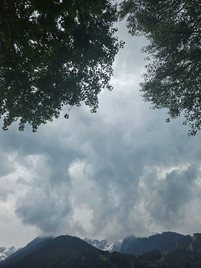 The image depicts a mountainous landscape under a cloudy sky, with lush green trees framing the top of the frame. In the foreground, the dark green foliage of trees is visible, casting shadows and creating a natural canopy. The middle ground is dominated by a vast expanse of gray, turbulent clouds, suggesting an overcast or potentially stormy weather condition. The sky is a muted gray, with some lighter patches hinting at the diffused sunlight.

Below the clouds, the rugged peaks of mountains emerge. These mountains are heavily forested with dark green trees, and some of the higher peaks are dusted with snow, indicating a significant elevation. The texture of the forests appears dense and uniform. On the slopes, hints of human presence can be seen, such as what appear to be antenna structures on one of the prominent peaks. The overall atmosphere is one of natural grandeur and a slightly somber, dramatic weather.

The location is identified as Ponte di Legno, Italy. This context suggests the scene captures the natural beauty of the Italian Alps, a region known for its dramatic mountain scenery, forested slopes, and high-altitude snow-capped peaks. The presence of trees, mountains, and cloudy skies are characteristic features of this alpine environment. There are no people visible in the image.