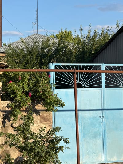 The image captures an outdoor scene in Taperakan, Armenia, featuring a light blue metal gate and abundant green vegetation under a clear blue sky with scattered small white clouds. In the background, a building with a corrugated gray metal roof is visible on the left, supporting a multi-element television antenna and overhead utility lines. A dark corrugated roof is partially visible in the upper right.

A dense, vibrant green rose bush with multiple pink blossoms grows against a textured, light-colored stone wall on the left side of the frame. A thick, rusted reddish-brown horizontal metal bar traverses the mid-ground, connected to a vertical post on the far left and anchored to a similar vertical post integrated into the blue gate on the right.

The light blue metal gate itself appears weathered, featuring two decorative "sunburst" patterned panels in its upper sections, separated by a vertical metal bar. The lower sections of the gate are solid metal. A pedestrian door, part of the main gate structure on the right, is equipped with two circular black handles. Various green trees and shrubs are visible behind the gate and buildings, rising above the rooflines. The scene is brightly illuminated by direct sunlight, casting distinct shadows on the stone wall and beneath the horizontal bar. No people are visible.