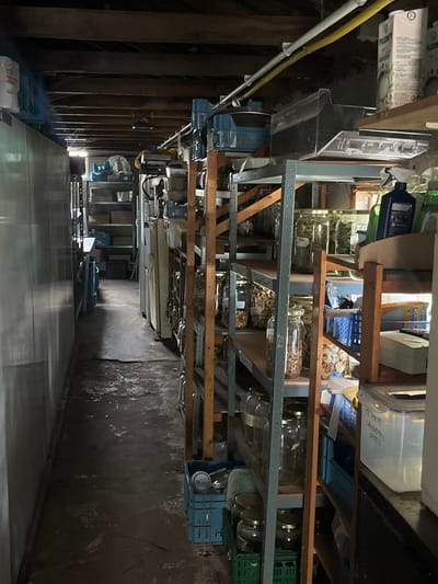 This image depicts a cluttered indoor storage or pantry area, reportedly located in Anderlecht, Belgium. The scene is an elongated, narrow corridor or aisle, extending from the foreground into the background, with a concrete floor that appears worn and discolored. The ceiling features exposed wooden beams and utility pipes, including one yellow pipe, running horizontally.
Along the left side of the aisle, a continuous, light-colored, possibly metallic structure resembling a long refrigerator or freezer unit extends into the distance. Further down on the left, additional metal shelving units are visible, holding various items that are indistinct due to distance and lighting.
The right side of the aisle is dominated by multiple freestanding shelving units, constructed from metal frames and wooden crossbeams. These shelves are heavily laden with numerous clear glass jars of varying sizes, many containing dried food items such as fruit slices, herbs, and pulses. Some jars appear empty or partially filled. On the top right shelf, several white "PLONT" branded cartons (likely 1-liter capacity) are stacked. Below this, a blue spray bottle and a green spray bottle are positioned. Towards the lower right, blue and green plastic crates are utilized for storage, some placed on the floor and others on shelves, containing various objects including what appears to be cutlery. A clear plastic container, partially labeled "KOFFIE CASSOULETS GRATS," holds multiple plastic utensils.
In the background, the aisle continues, revealing more shelving and a brighter area, suggesting a light source or an opening to another room. No individuals are present in the image, and no actions or interactions are depicted. The overall environment suggests a functional storage space, potentially for a commercial kitchen or a large-scale private food preparation area.
