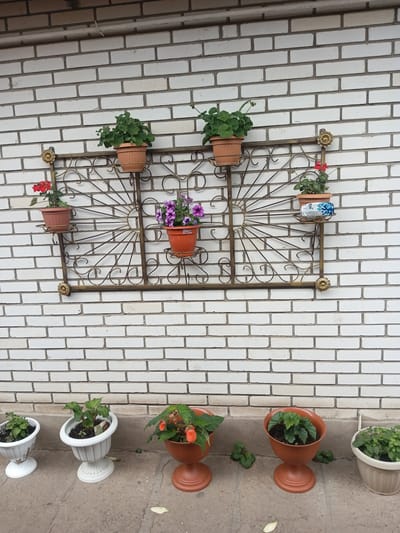 The image depicts an outdoor scene with a white brick wall as the background. A metal decorative grate is mounted on the wall, holding several potted plants. On the grate, from left to right, there are three small pots: one with red flowers, one with purple flowers, and one with a can and red flowers. Above these, there are two larger pots, one with green plants and another with green plants. Below the grate, on the ground, are more potted plants in various containers, including white urn-like planters and reddish-brown pots. The ground appears to be concrete. The scene is set in the Байқоныс rural district of Kazakhstan.