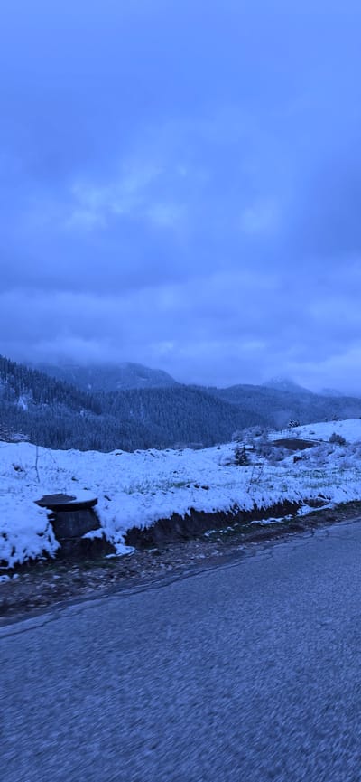 This image captures a serene winter landscape in Stoikite, Bulgaria, under an overcast sky. The scene is composed with a roadside view leading into a mountainous, forested terrain.

In the foreground, a dark asphalt road runs along the right side, appearing slightly wet or damp. It is bordered by a snow-covered embankment where patches of brown earth and green foliage are visible beneath the white blanket. On this snowy shoulder, a wooden structure, possibly a picnic bench or small shelter, is partially covered in snow. Further back, another wooden, fence-like structure can be seen.

Beyond the road and embankment, dense evergreen forests, heavily dusted with snow, cover the slopes of multiple mountains. These mountains recede into the distance, partially obscured by a soft, bluish haze or mist, which adds to the cold and tranquil atmosphere. The sky above is a uniform, muted blue, filled with soft, diffuse clouds that suggest an overcast day, possibly during early morning or late afternoon due to the subdued lighting. The overall color palette is dominated by cool blues, whites, and dark greens, emphasizing the winter conditions. There are no people visible, and no discernible text or significant activities are taking place, reinforcing the peaceful and untouched nature of the landscape.