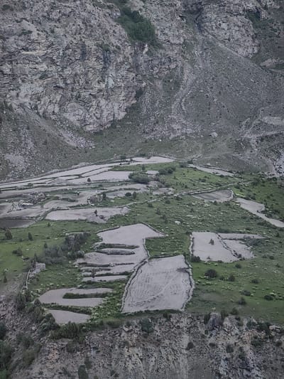This image depicts a high-altitude agricultural landscape in Kead, India. The scene is dominated by terraced fields, carved into the side of a steep mountain. These terraces are partially filled with water, suggesting they are prepared for paddy cultivation. The terrain is rugged, with rocky slopes and sparse vegetation. Small patches of green grass and scattered trees are visible between the cultivated areas. A few stone walls demarcate some of the terraces. The overall impression is one of a remote and challenging environment where human agriculture has adapted to the natural topography.