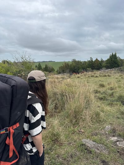This image depicts an outdoor, natural landscape in the Sierra de los Padres region of Argentina on an overcast day. A single individual is positioned in the foreground, viewed from their upper back and right side. This person, with long dark hair, wears a light beige baseball cap with a dark green underside to the brim, a black and white striped short-sleeved shirt, and dark pants, with their left hand in a pocket. A large black bouldering crash pad, secured by an orange strap with a rainbow-colored buckle, is prominently worn on their left side.
The immediate ground is covered with sparse, dry, and yellowish-green grass, along with some patches of greener growth and visible rocks. Beyond the individual, the midground transitions into an open field of tall, dry grass and scattered trees, including several dark green conifers. In the middle distance, several brown cattle are partially visible among the trees and vegetation. The background features gently rolling hills with expansive green fields. The sky is entirely covered by a uniform layer of light gray clouds.
