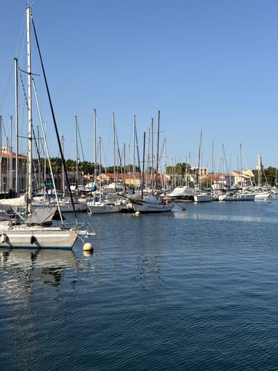 The image displays a marina filled with numerous sailboats docked side-by-side. The boats are lined up along a body of water, with their masts creating a dense forest of vertical lines against a clear blue sky. The water is calm and reflects the sky and the boats. In the background, there are buildings with red-tiled roofs and lush green trees, suggesting a coastal town or city. There are no people visible in the image, but the presence of buoys and the docked boats indicate a working marina. The lighting suggests it is daytime, likely morning or afternoon, with the sun casting shadows and highlighting the details of the boats and water. The overall impression is one of peaceful order and nautical activity. The scene is set in Martigues, France, a port city known for its canals and fishing heritage.