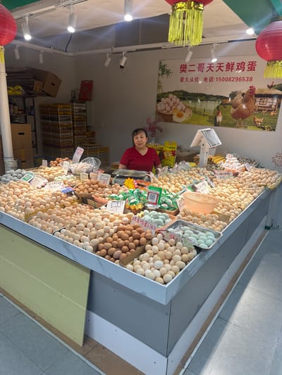 A woman in a red shirt stands behind a large display of eggs at a market stall. The stall is filled with a variety of eggs, including white, brown, and some bluish-green ones. Some of the eggs are in baskets, while others are piled high in bins. There are also some packages of eggs and a scale on the counter. In the background, there is a sign with Chinese characters and images of chickens, advertising "Brother Fan's Fresh Eggs." The text on the sign also includes a phone number. Additional signs with prices are visible among the eggs. The setting appears to be an indoor market or shop, possibly in Qingyang District, China, given the context. The overall impression is of a bustling market scene where fresh eggs are being sold. The woman appears to be a vendor, possibly interacting with customers or arranging the eggs. The lighting suggests it is daytime.