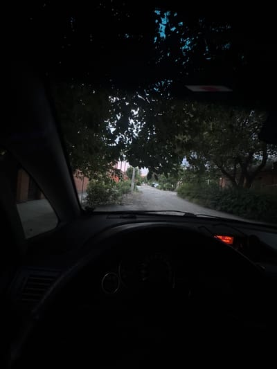 The media file depicts a view from inside a car, looking out through the windshield and side window. The scene outside is a narrow, unpaved road lined with lush green trees and foliage. On the left, dense leaves obscure a building with red brick details and some windows. On the right, a portion of the car's dashboard is visible, with a digital display showing "22.5" and "-Mode." The overall lighting suggests it is either early morning or late evening, with the sky visible through the leaves appearing a dusky blue. The mood is somewhat enclosed and intimate, due to the perspective from within the car. There are no people visible in the frame. The car appears to be stationary, and the view suggests a rural or semi-rural setting in Azov, Russia. The unpaved road and abundant greenery are characteristic of such locations.
