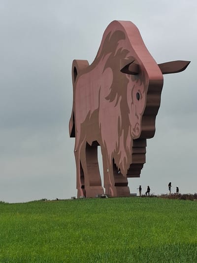 The image shows a large, pink, abstract sculpture of an animal's head, possibly a bull, with sharp horns. The sculpture is positioned against a pale, overcast sky. To the right of the sculpture, a vibrantly green, well-maintained lawn stretches out, appearing somewhat steep. Several people are visible standing on the edge of the lawn, near the sculpture. They are small in the frame, indicating the scale of the sculpture. One person is wearing blue shorts, while others are in darker clothing. The overall lighting suggests it is daytime, but the overcast sky indicates cloudy weather. The sculpture itself appears to be made of a smooth, solid material. The scene is set in a location that appears to be an outdoor public space, possibly a park or a monument site.