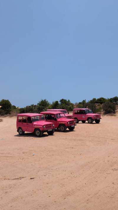 The image depicts a line of five pink SUVs parked on a sandy surface, likely a desert or dune area. A sparse line of trees and vegetation is present along the top edge of the frame. The sky is a clear, bright blue. The location is Phuoc Dinh, Vietnam, as this is where the photo was taken.