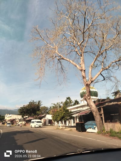 The image depicts a street scene in Bateiiliek, Indonesia. The view is from a vehicle's perspective, focusing on the road ahead and the roadside. On the right side of the road, there's a tree with bare branches, obscuring a building with a green and white dome, likely a mosque. Adjacent to the road are shacks or small shops with corrugated metal roofs. On the left, there are various buildings, including houses and shops, and some vehicles are moving on the road. In the background, there are mountains. The sky is blue with some clouds. The lighting suggests it is daytime.