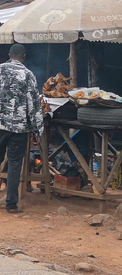 The image captures an outdoor food stall, likely a roadside establishment, in Gidan Waya, Nigeria. A person, viewed from behind, stands on the left side of the frame, facing the stall. They are wearing a long-sleeved, camouflage-patterned shirt and dark trousers, with sandals on their feet.

The stall is constructed from rough wooden poles and beams. On the stall's counter, several whole roasted or grilled chickens are displayed on white paper or cloth. To the right of the chickens, there are other fried food items, possibly pastries or snacks, presented in a tray. A dark tire is placed on the counter, serving as a support or part of the display.

Beneath the counter, a glowing fire is visible, suggesting active cooking or roasting. The ground around the stall is unpaved, appearing as dirt or reddish soil with scattered small rocks and debris. In the background, under the stall, other objects and possibly more cooking equipment are discernible.

An off-white, somewhat weathered umbrella provides shade over the stall. Visible text on the umbrella includes "KISSKIDS" and "BABY," accompanied by a logo featuring a baby's head. The overall impression is that of a bustling local food vendor. The time of day appears to be daylight, though the lighting is diffused, possibly indicating an overcast sky or late afternoon.