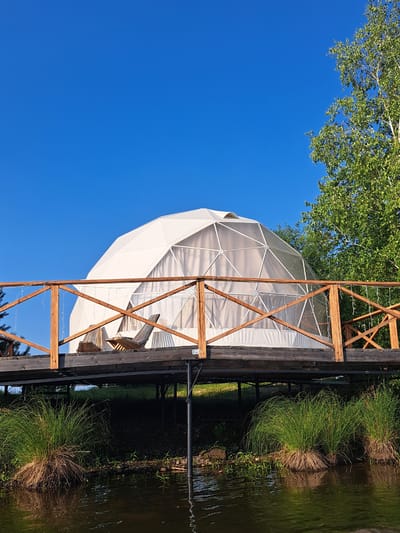 A geodesic dome glamping tent is situated on a wooden platform above a body of water, with lush green grass and reeds along the water's edge. The tent is white and appears to be made of a fabric material stretched over a geodesic frame, with some transparency allowing glimpses of the interior. Two wooden lounge chairs are visible on the platform in front of the tent. A wooden railing with string lights runs along the edge of the platform. A large tree with green foliage is visible to the right of the dome, and the sky is a clear, bright blue. The scene appears to be set in an outdoor recreational area, likely a resort or glamping site, in the vicinity of Раздольное, Russia. There are no people visible in the image.