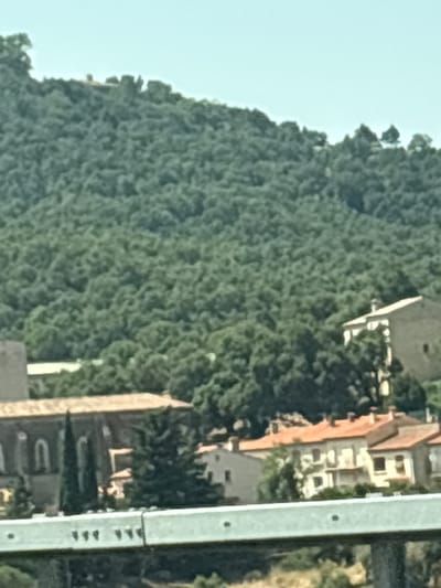 In the city of Le Perthus, France, an overcast sky looms over a lush, green hillside densely populated with trees. Nestled at the base of this hill, a cluster of buildings forms a small village. The buildings are predominantly made of stone, with some featuring terra cotta tiled roofs. Among these structures, a prominent church-like building with arched windows and a tall, slender spire stands out. Adjacent to it, a lighter-colored building with a more modern facade appears to be residential. Further to the right, a row of houses with orange tiled roofs forms a continuous street. The image captures a panoramic view of the village and its mountainous backdrop, suggesting a tranquil, rural setting.