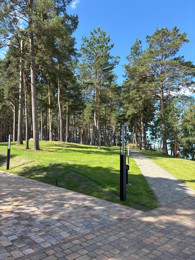 The image depicts a paved pathway winding through a manicured grassy area, bordered by a dense stand of tall pine trees. The pathway is made of interlocking pavers in muted earth tones. Two modern black lampposts are situated alongside the path. The ground slopes gently upwards towards the trees, with the grass neatly mowed. The sky above is a clear, bright blue with a few wispy white clouds. In the distance, through a gap in the trees, a glimpse of what appears to be a body of water can be seen, suggesting the location is near a lake or river. To the right of the main pathway, partially obscured by trees, is a small, yellow structure that resembles a playground element or a small shed. The overall scene suggests a well-maintained park or recreational area.