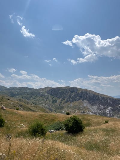 The image depicts a panoramic view of a mountainous landscape under a bright blue sky with scattered white clouds. The foreground is dominated by dry, golden grass and scattered wildflowers, with a few small green bushes. In the mid-ground, the terrain transitions to rolling hills with patches of green vegetation and rocky outcrops. The background features a rugged, imposing mountain range with steep, weathered slopes. A bright sun glare is visible in the upper left quadrant of the sky. The scene appears to be set in a rural, natural environment, likely in a mountainous region. The location is identified as Boričje, Montenegro. There are no people or specific actions depicted in the image.