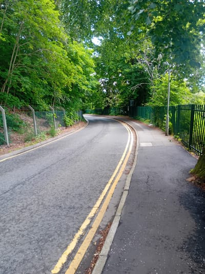 The image depicts a road curving to the left, bordered by a sidewalk and green metal fencing on the right, and a chain-link fence along a grassy embankment on the left. Lush green trees with dense foliage line both sides of the road, creating a canopy overhead. The road surface is asphalt with double yellow lines marking the center. The sidewalk is paved, and a lamppost is visible on the right side. The environment suggests an outdoor, possibly semi-rural or park-like setting within a city, given the presence of a maintained road, sidewalk, and urban-style fencing. There are no people or vehicles visible in the image. The scene is captured from a low-angle perspective, looking forward along the road. The lighting indicates it is daytime, with sunlight filtering through the trees. The overall impression is one of a quiet, tree-lined street.