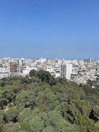 This is a photograph of a densely populated cityscape, with a large green forest on the right side of the frame. The cityscape is characterized by numerous tall buildings of varying architectural styles, predominantly white with some featuring brown or gray accents. The buildings are packed closely together, extending towards the horizon. The ocean is visible in the distance, a faint blue line separating the city from the sky. The sky itself is a clear, bright blue, suggesting a sunny day.
The forest occupies the right half of the image, appearing as a lush expanse of trees with dense foliage. The trees are a vibrant green, creating a stark contrast with the urban environment. The perspective suggests the photo was taken from a high vantage point, possibly from a hill or a tall building overlooking both the city and the forest.
There is no visible activity or event taking place in the image, and no people or specific objects are discernible. The overall impression is a panoramic view of a coastal city nestled beside a large natural area. The clear blue sky and bright sunlight indicate it is daytime. No text is visible in the image. The scene appears peaceful and offers a sense of scale between the developed urban area and the natural environment.